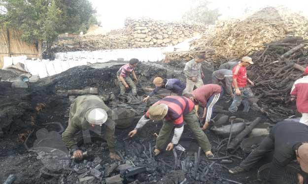 “مكامير الفحم” بالقليبوبية .. هلاك الزرع والإنسان