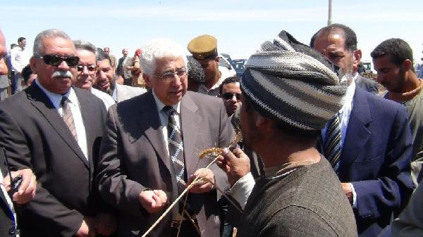 محافظ أسيوط يتفقد حصاد القمح ويشيد بزيادة المساحة المزروعة