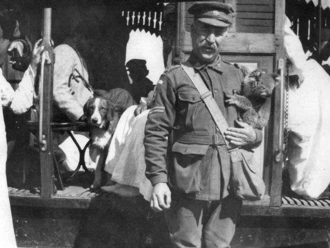 بالصور.. “دايلي تليجراف” ترصد قصص حيوانات ساعدت الجنود في الحرب