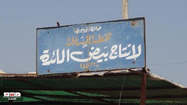 وقفة احتجاجيه لعمال مصنع البيض ببني سويف