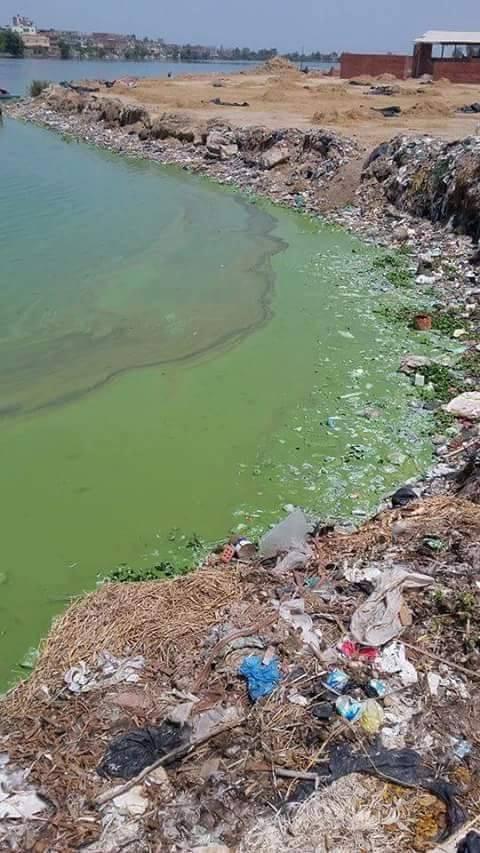 “ترعة المحمودية” تهدد حياة المواطنين بالبحيرة وسط تجاهل المسؤولين