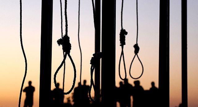 “الصحافة الألمانية”: أحكام الإعدام تزرع اللاسلم وتسييس للقضاء