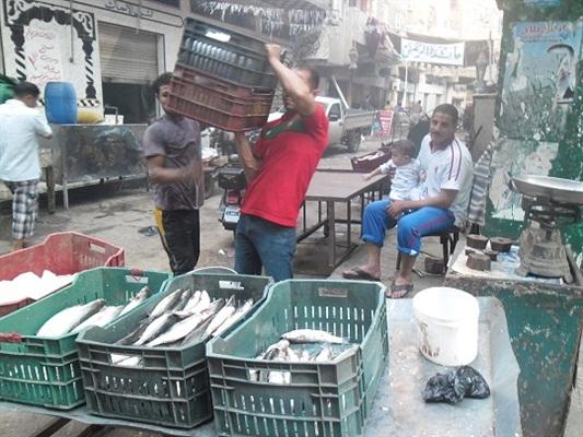 مع حلول شم النسيم .. نبروه عاصمة إنتاج “الفسيخ” العربي