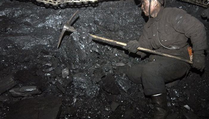 “الإسكان”: نتجه إلى استخدام الفحم كبديل للطاقة