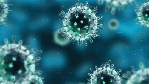 خفة الدم والفول والفلافل.. سلاح المصريين للفتك بـ “كورونا”