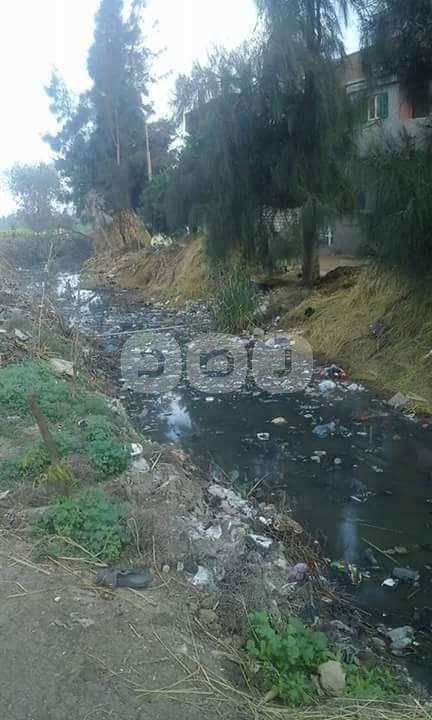 بالصور.. أهالي قرية “أمليط” بالبحيرة يستغيثون من انتشار القمامة