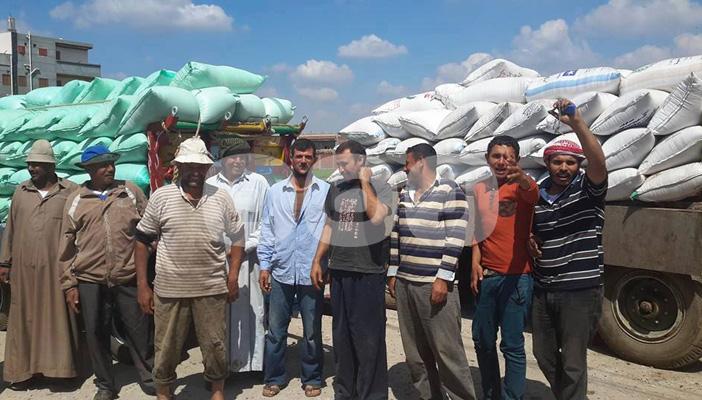 بالصور.. فلاحو الدقهلية يتجمهرون بسبب رفض استلام محصول القمح