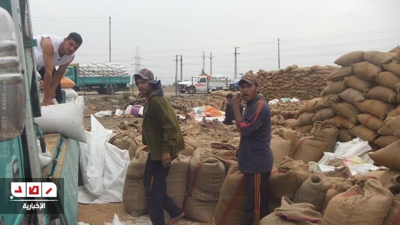 رغم تأخر صرف المستحقات .. إيتاي البارود مستمرة في توريد القمح