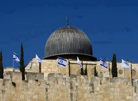 “أسف يا ريس” لمرسي : أين الجهاد ضد الاعتداء على “الأقصى”