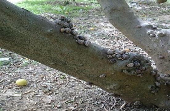 أبرزها هجوم القواقع.. مصر تستيقظ على 3 مصائب كبرى