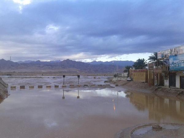 “مستثمرى طابا ونويبع”: خسائر السيول بالملايين