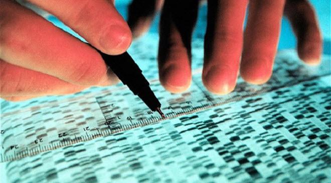 علماء أمريكيون ينتجون خلية حية بحمض نووي صناعي