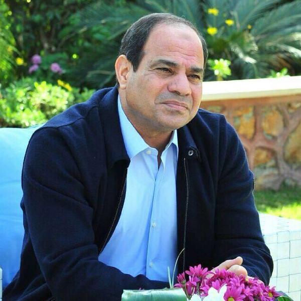 هل يملك المشير برنامجا انتخابيا؟