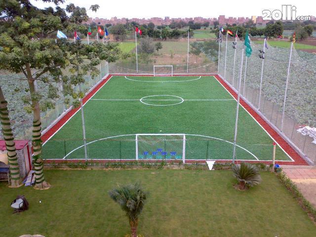 إغلاق قاعات أفراح والملاعب مقامة على أرض زراعية بالشرقية