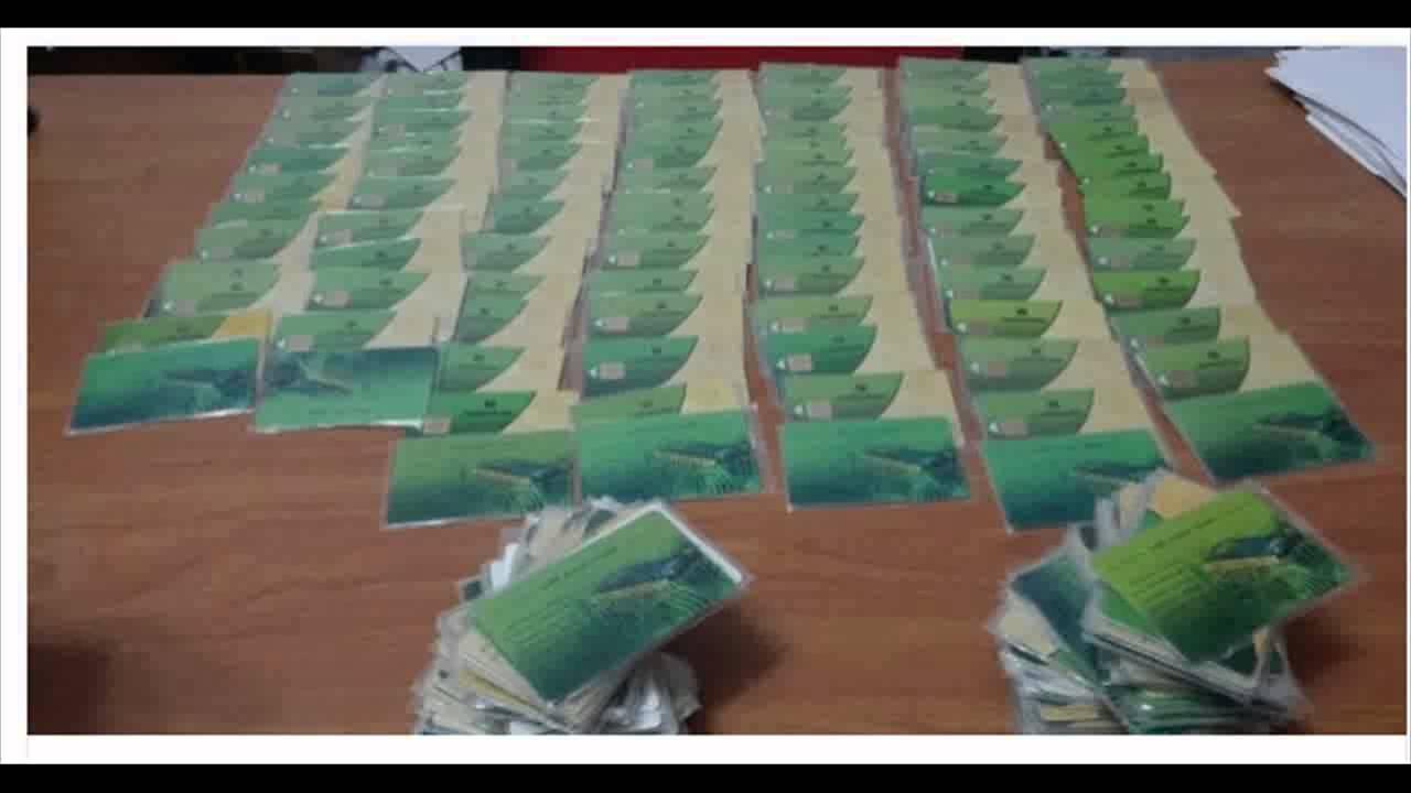 مجلس الوزراء يطالب المواطنين بتحديث البطاقات التموينية قبل 30 يونيو