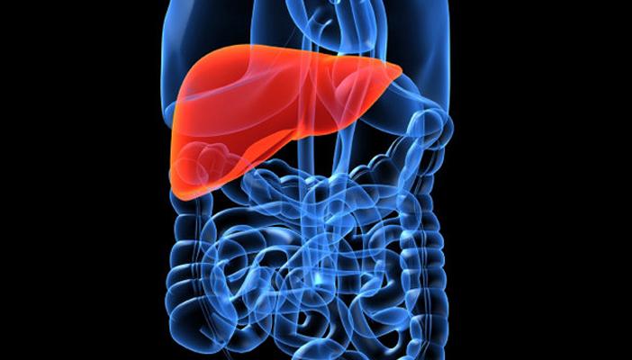 الخبراء يحذرون من الكبد الدهني باعتباره الطريق الأسرع للتليف والسرطان