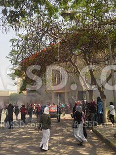 تظاهرة ضد الانقلاب بجامعة عين شمس رفضا لتمثيلية الرئاسة