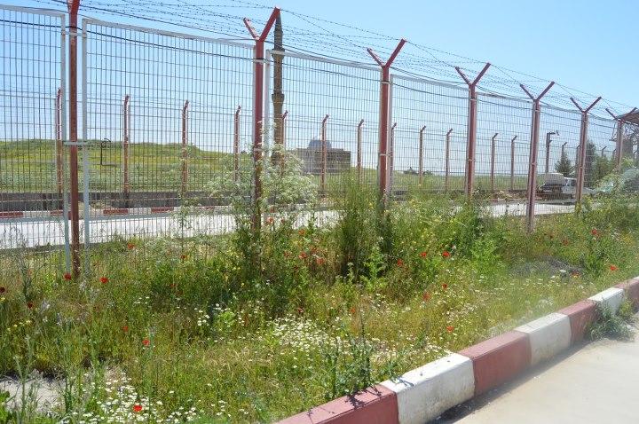 بين عالمين – خديجة الزغيمي