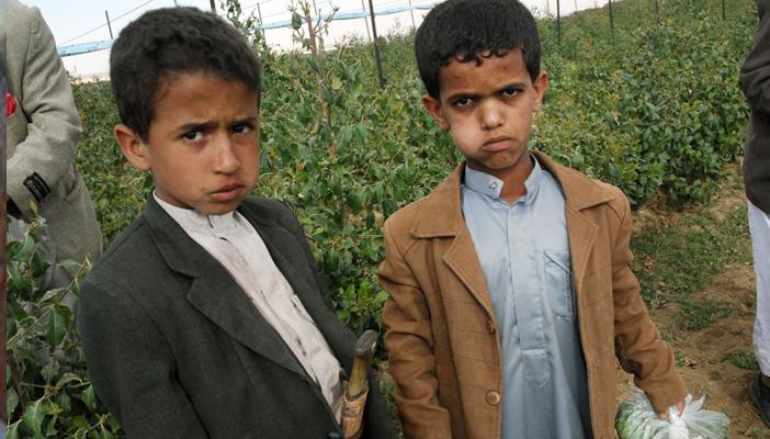 القاعدة تصدر بيانا تحرم فيه تداول “القات” شرق اليمن