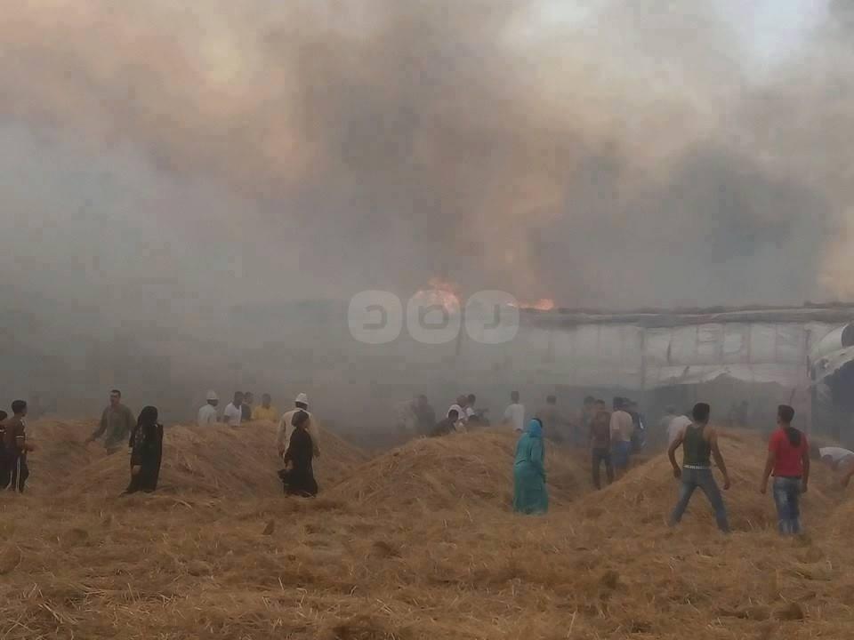 بالصور.. حريق هائل يلتهم “4 منازل وجرن بصل” بالدقهلية