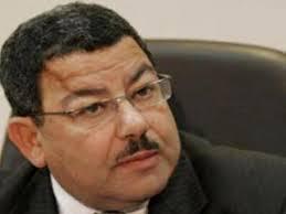 عبدالفتاح: التصويت فى صناديق القمامة دليل على قيمة أصواتهم