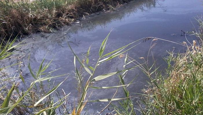 أهالي “الميانة” ببني سويف: مياه الشرب مختلطة بالصرف الصحي