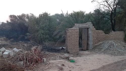 50 ألف جنيه خسائر حريق مزرعة بالوادي الجديد