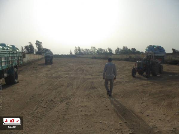 خلاف بين “التموين” و”بنك التنمية” بسبب شونة بالبحيرة