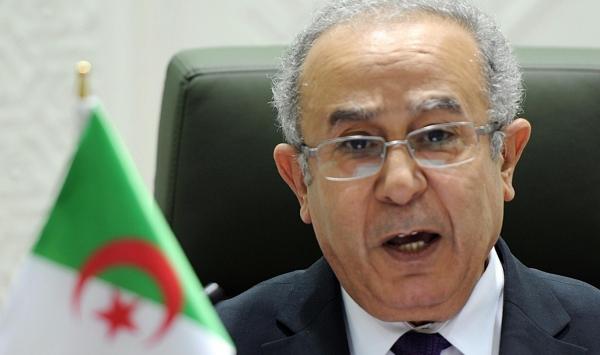 مقتل عائلة جزائرية بالكامل في حادث تحطم الطائرة المصرية بينهم طفلان