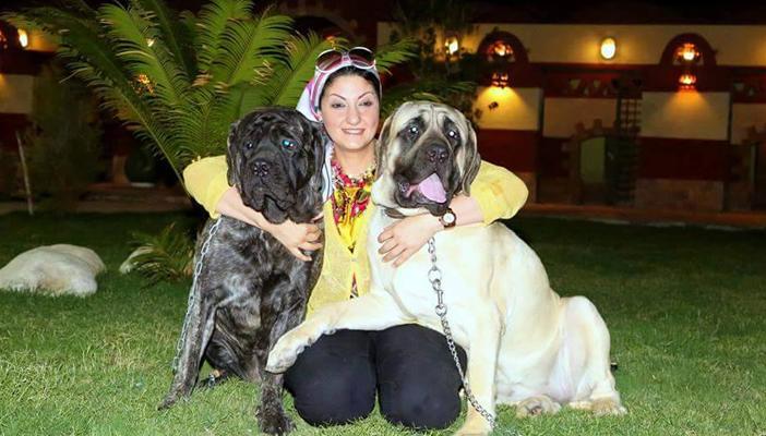 رواد “فيس بوك” ساخرين من “فندق الكلاب”: بلد شحيبر