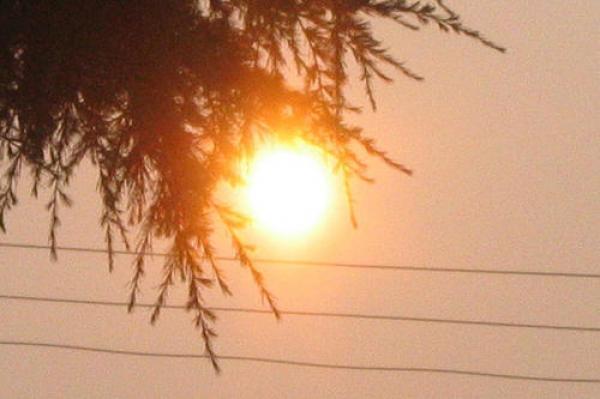 ارتفاع ملحوظ فى درجات الحرارة و”الأرصاد” تنصح بعدم التعرض للشمس