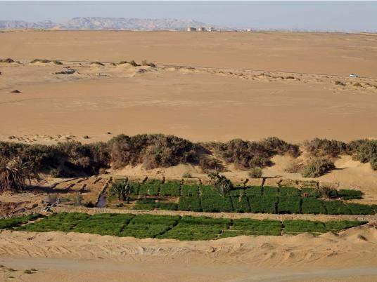 إحالة دعوى منع تملك الفلسطينيين أراضي بسيناء لهيئة المفوضين