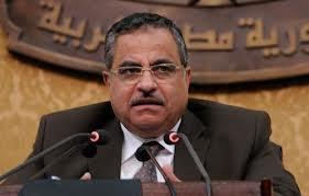 “فهمي” : تحرير الجنود نموذج للتكامل بين مؤسسات الدولة