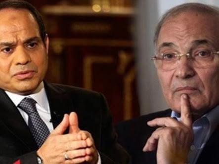 شفيق يعود للظهور وجنينة ينفي جنسية زوجته والسيسي يتحدث عن شعبيته