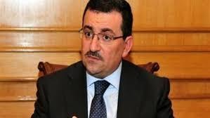 أعضاء لجنة الإعلام والثقافة بالبرلمان يطالبون بالتحقيق مع هيكل