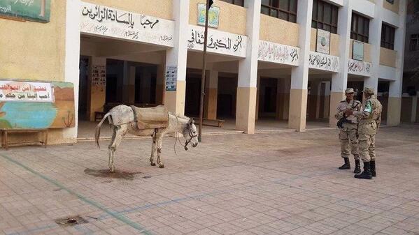 سياسيون: فضائح انتخابات العسكر “بالجملة”