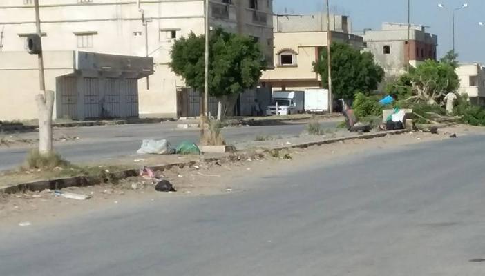 الجيش يقطع 112 شجرة “فيكس” في “الشيخ زويد” .. والسكان: هم جنود فرعون