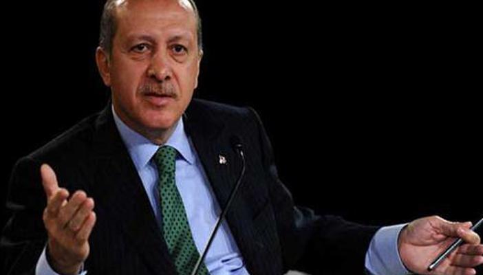 اعتقال عضوة بحزب تركي معارض لإهانتها أردوغان