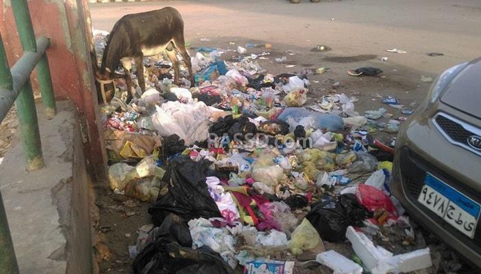 بالصور.. أسوار المدارس والمستشفيات بأسيوط تتحول إلى مقالب قمامة