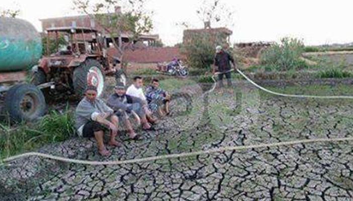 بالصور.. مزارعو الدقهلية يروون أراضيهم بـ”فناطيس المياه”