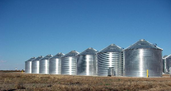 التموين تتعاقد مع “بلومبرج” لعمل وحدات تخزينية متطورة للسلع