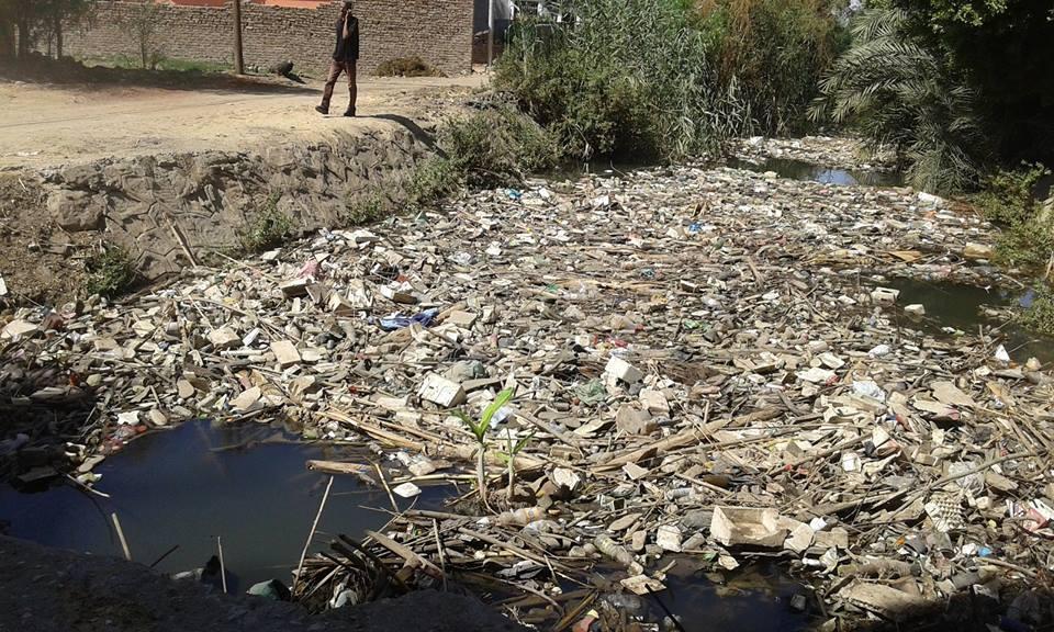 معاناة قرية العديسات بالأقصر من الإهمال والأمراض وسط تجاهل المسؤولين