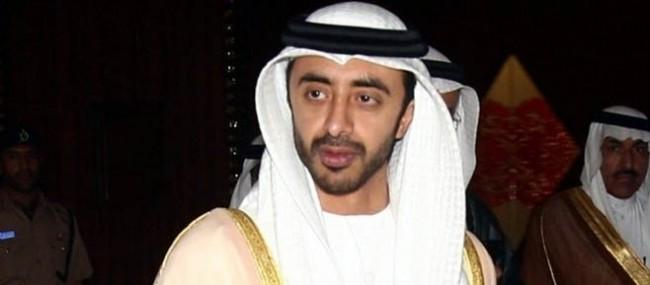 الإمارات: لدينا خطة لوضع مصر على المسار الصحيح