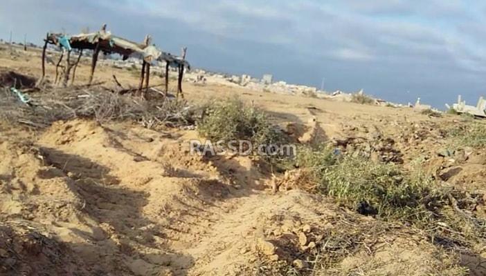 قوات الجيش تستعد للمرحلة الثالثة بتجريفها واقتلاع أشجارها