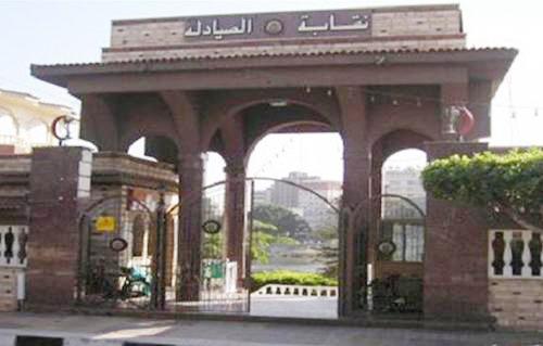 الصيادلة تدشن حملة توقيعات لرفض الحراسة وتعلن الحشد