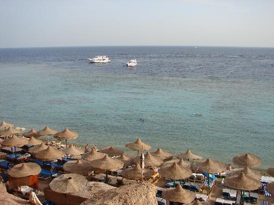 “سياحة الانقلاب”تنفى علاقتها بمهرجان إباحي بشرم الشيخ