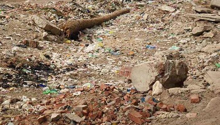 في “سنورس” الأشجار لقسم الشرطة.. والقمامة لمنازل الأهالي