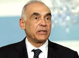 وزير الخارجية: لا مساس بأمن مصر المائي