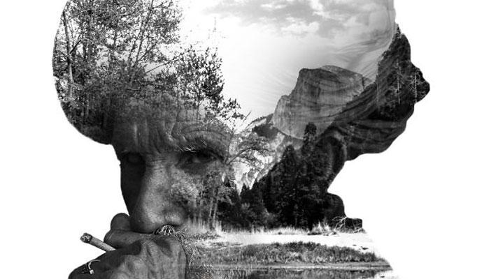 فن الرسم المزدوج.. 30 صورة إبداعية تدمج جمال الطبيعة بالكائنات الحية