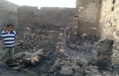 نائب بالشورى يطالب بـ50 مليون جنيه لأهالي الإمام مالك